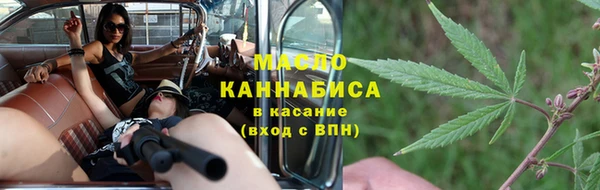 мдпв Инсар