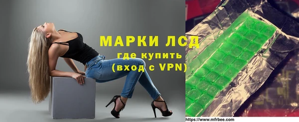 spice Инта
