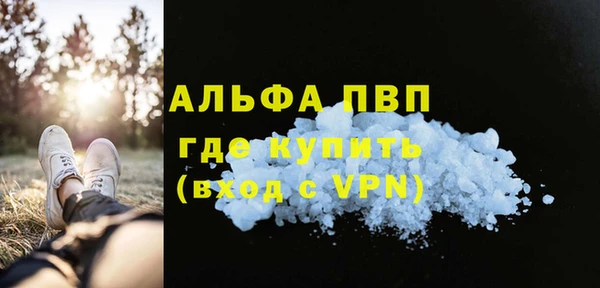 spice Инта