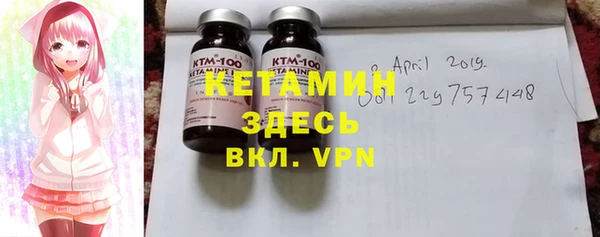 прущие грибы Каменка