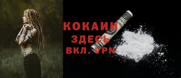 spice Инта