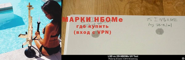 мдпв Инсар