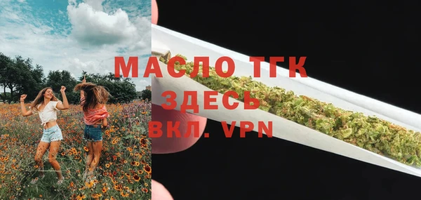 мдпв Инсар