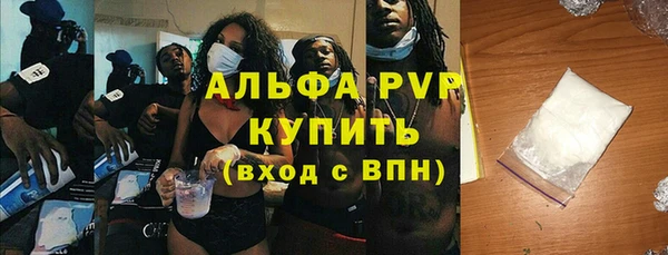 spice Инта