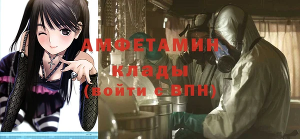 spice Инта