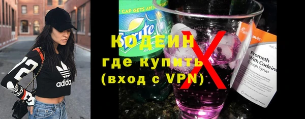 мдпв Инсар